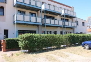 big_big_IMG_3184-1-7