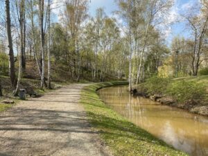 big_big_IMG_7346-1-8